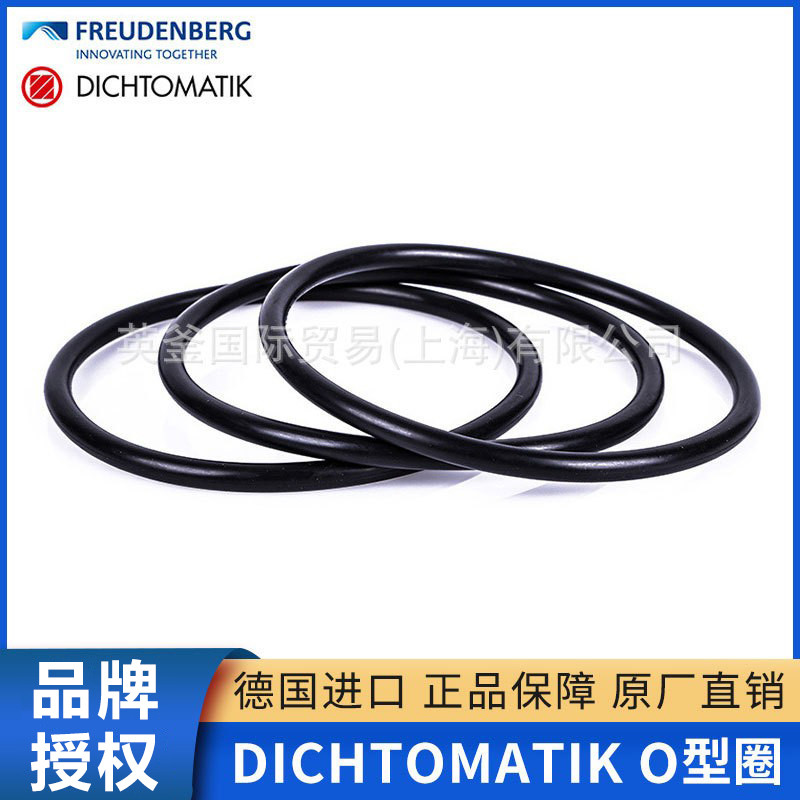 Dichtomatik德氏封 O型圈